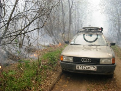 Пургина 008.jpg