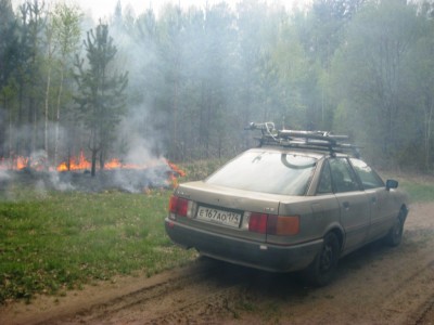 Пургина 006.jpg